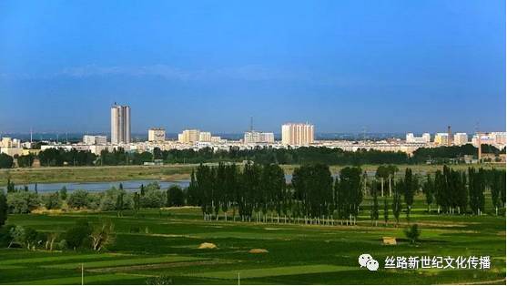 高台县，绿色发展助力乡村振兴的典范实践